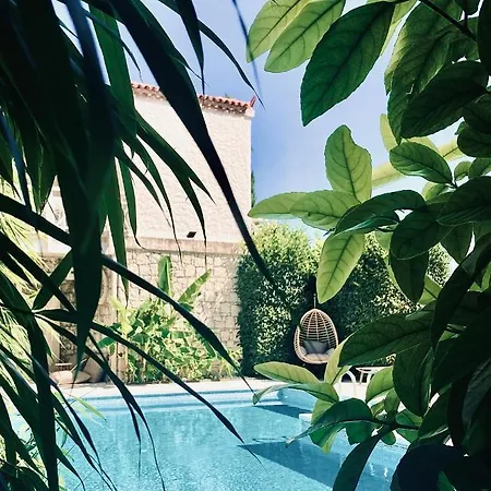 Palma Alacati